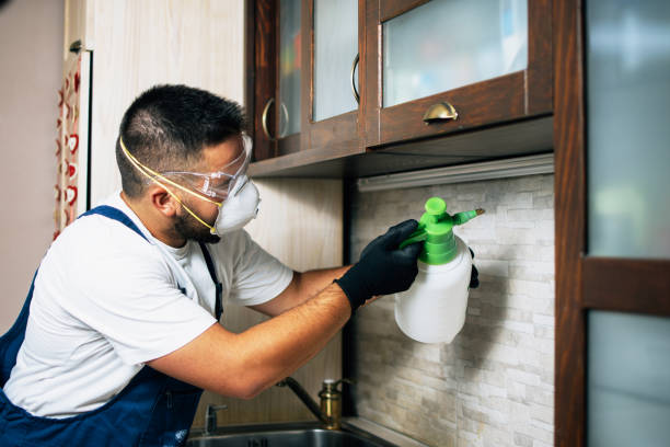 Best Pest Prevention Services  in Butte, AK