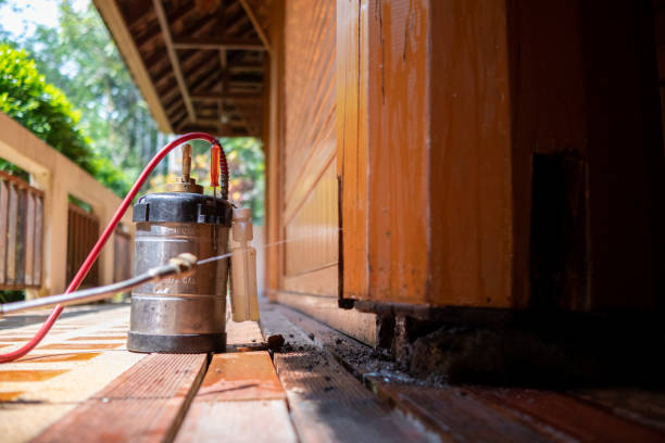 Best Pest Removal Services  in Butte, AK