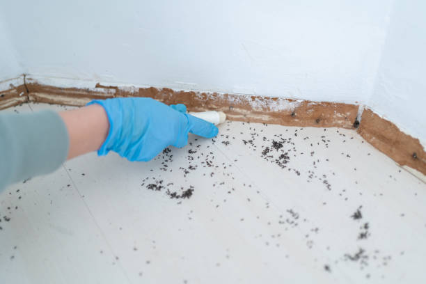 Best Commercial Pest Control Services  in Butte, AK