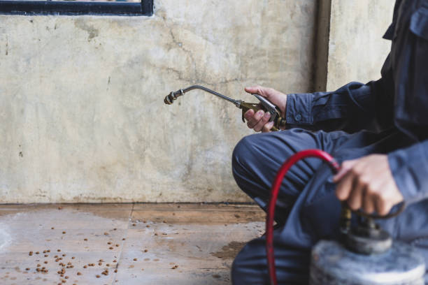 Best Residential Pest Control  in Butte, AK